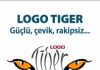 Logo tiger lisans yenileme hata çözümü