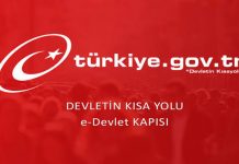 Edevlet’ten Ücretsiz Maske Nasıl Alınır