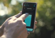 Beyine Takılan Çip ve Sonrası